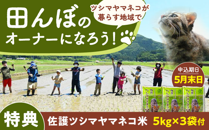 対馬 佐護 ツシマヤマネコ 米 田んぼオーナー1年券【ツシマヤマネコ米15kg付き】（対馬市）【一般社団法人MIT】 米作り体験 田植え 体験 稲刈り 離島 チケット 新米 [WAP026]