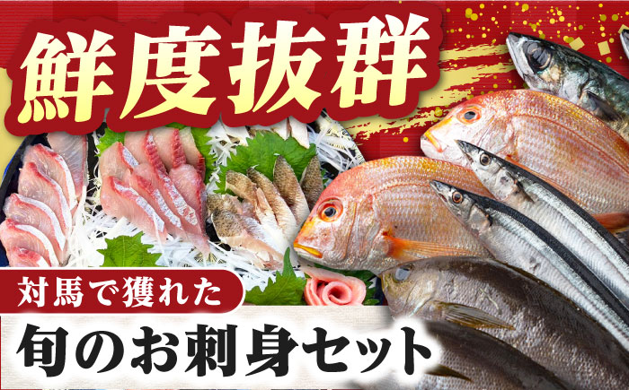 【全3回定期便】対馬 イカ 姿造り と 刺身 の セット 【真心水産】《対馬市》新鮮 海鮮 いか 冷凍 刺身 ケンサキイカ 島魚 海鮮丼 手巻き寿司 [WAK013]