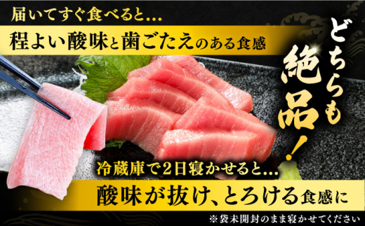 対馬産 生 本マグロ 800g （赤身、中トロ、大トロ）《対馬市》　【対海】 中トロ 大トロ まぐろ マグロ 鮪 [WAH026]