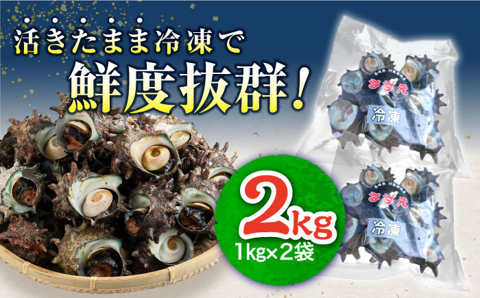 対馬産 天然冷凍サザエ 2kg ≪対馬市≫　【株式会社 保家商事】さざえ サザエ 刺し身 海鮮 魚貝 貝 海産物 [WAA038]