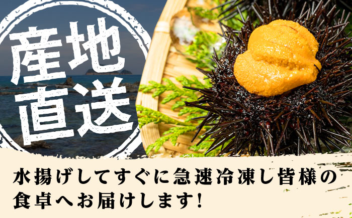 【全3回定期便】 対馬産 生うに 60g×2本 《対馬市》【保家商事】 うに ウニ 雲丹 生ウニ 海鮮 海産物 [WAA043]