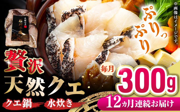 【全12回定期便】 【 対馬産 】 天然 クエ 300g （身のみ）《対馬市》【石川水産】 鍋 水炊き 鮮度抜群 海鮮 [WAB035]