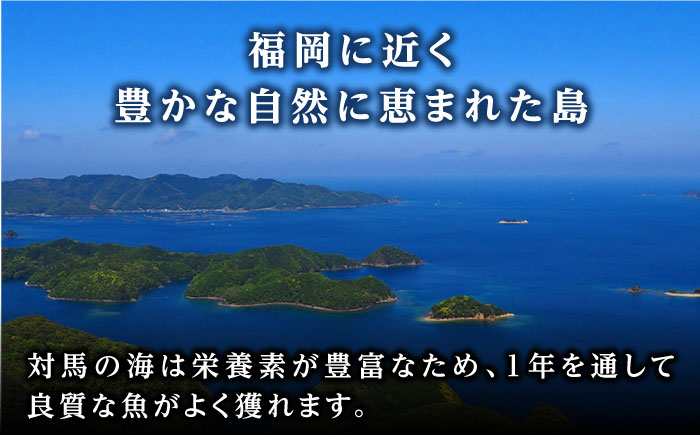 ヒオウギ貝　むき身　2個串刺し×9パック　《対馬市》【対馬新鮮組】　肉厚　ひおうぎ貝　下処理済　貝　新鮮　特産品　冷凍配送 [WCS012]