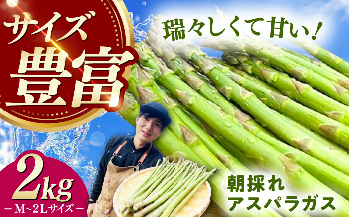 【3月中旬以降順次発送】朝採れアスパラガス2kg 《対馬市》【農家くんのアスパラファーム】  冷蔵 アスパラ とれたて 新鮮 野菜 産地直送 [WCT002]