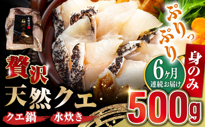 【全6回定期便】【 対馬産 】 天然 クエ 500g （身のみ）《対馬市》【石川水産】 鍋 水炊き 鮮度抜群 海鮮 クエ 天然クエ [WAB019]