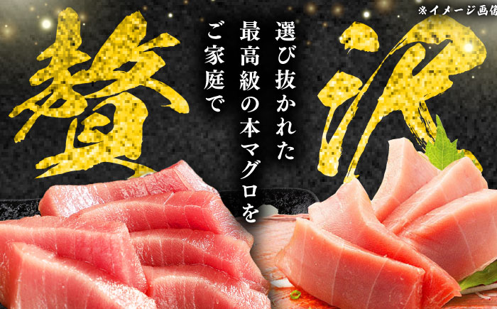 【12月中にお届け】対馬産 養殖 本マグロ 中トロ 1.2kg(8パック)《対馬市》【対海】マグロ 鮪 まぐろ 本鮪 中とろ [WAH020-12]