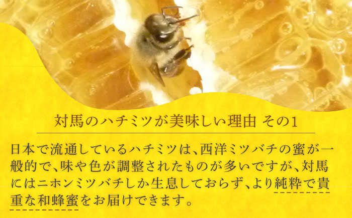 【全12回定期便】 対馬 和蜂 はちみつ 300g×1本 《対馬市》【特定非営利活動法人 對馬次世代協議会（対馬コノソレ）】 蜂蜜 ハチミツ 日本ミツバチ ニホンミツバチ [WAM048]