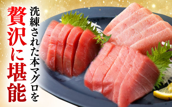 【全6回定期便】対馬産 本マグロ 200g（赤身100g、中トロ100g） ≪対馬市≫【桐谷商店】 トロの華 対馬 新鮮 マグロ 赤身 トロ 鮪 刺身 [WAQ061]