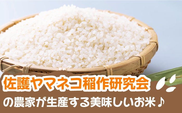 【小分けで便利ニャン】 佐護 ツシマヤマネコ 米 5kg×3 《対馬市》【一般社団法人MIT】 小分け お米 玄米 対馬 精米 減農薬 猫 動物保護 対馬 15kg [WAP024]