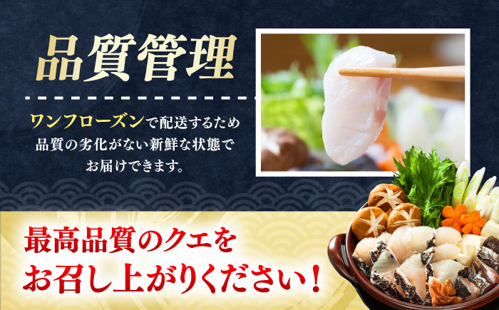 【全2回定期便】対馬産 クエ ぶつ切り 900g 鍋用スープ付《対馬市》【島本水産】高級魚 新鮮 肉厚 本格的 海鮮 鍋セット フライ 煮付け アラ [WBI014]