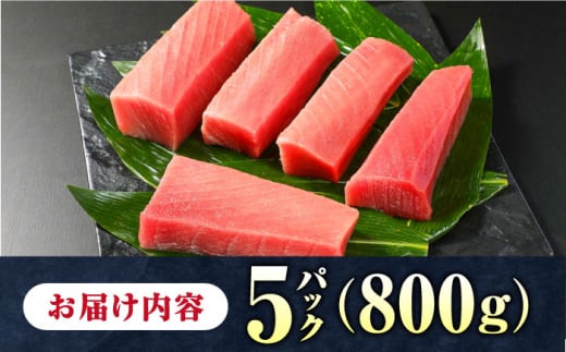 対馬産 養殖 本マグロ 中トロ 800ｇ(5パック)《対馬市》【対海】 マグロ 鮪 まぐろ 本鮪 中とろ [WAH019]