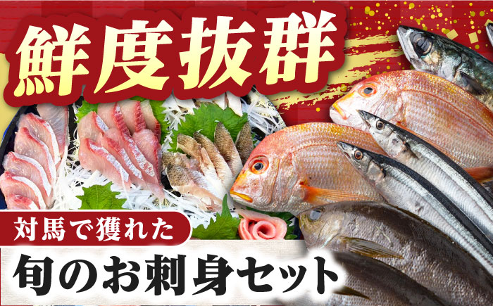 対馬 イカ 姿造り と 刺身 の セット 【真心水産】《対馬市》新鮮 海鮮 いか 冷凍 刺身 ケンサキイカ 島魚 海鮮丼 手巻き寿司 [WAK011]