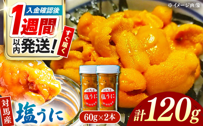 【1週間以内発送】対馬産 塩うに 60g×2本《対馬市》【保家商事】 ウニ うに 冷凍 生ウニ 雲丹 対馬 ムラサキウニ 紫ウニ  紫うに 人気 ランキング 長崎 九州 つしま 対馬市 海鮮 魚介 [WAA018] スピード発送 最速発送 最短発送