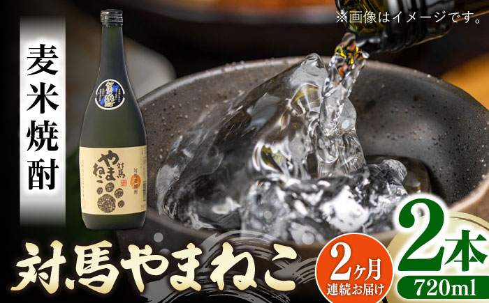 【全2回定期便】麦米焼酎 対馬やまねこ 25度 720ml 2本セット《対馬市》【株式会社サイキ】対馬 酒 贈り物 米焼酎 プレゼント 焼酎 [WAX050]