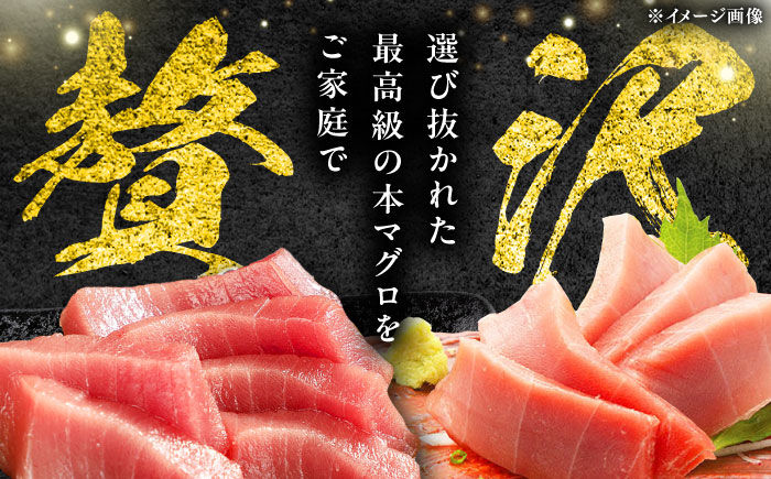 対馬産 本マグロ 3種 計450g（赤身/中トロ/ネギトロ）《対馬市》【対海】[WAH002] マグロ まぐろ 鮪 本鮪 本マグロ 養殖 トロ 中トロ 中とろ 赤身 ねぎとろ ネギトロ たたき 刺身 冷凍 海鮮 魚 柵 お祝い 贈答