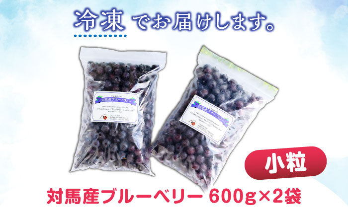 【最速発送】対馬産 ブルーベリー 600g×2袋 計1.2kg（ 冷凍 ） 【さほの里ファーム 】《 対馬市 》 小粒　離島 対馬 無農薬 有機肥料 旬 果物 フルーツ [WBG011]