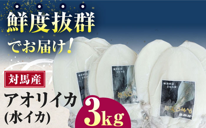 対馬産 アオリイカ 3kg《対馬市》【保家商事】烏賊 いか 刺身 海鮮 冷凍 [WAA031]