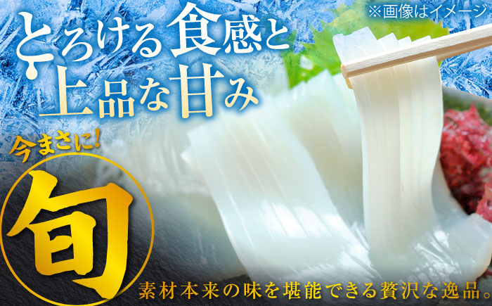 ヤリイカ お刺身用 1kg 《対馬市》【海風商事】 小分け 刺身 いか イカ ヤリイカ 新鮮 海鮮 冷凍 [WAD054]