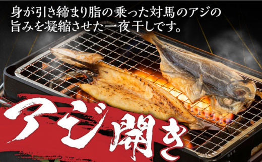 【全12回定期便】対馬 海の幸 干物 セット《対馬市》【対馬地域商社】九州 長崎 海鮮 [WAC029]冷凍 新鮮 魚 イカ あじ 鯵 アジ 剣先いか カマス 穴子 個包装 BBQ 魚介 浜焼き ひもの 朝食 おつまみ もう1品 対馬  定期便 毎月届く