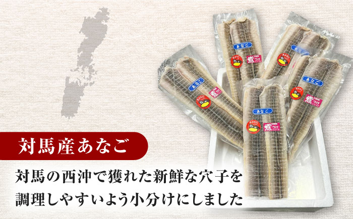 対馬産　あなご　天ぷら・煮付用　5パック　《対馬市》【対馬新鮮組】　冷凍配送　小分け　アナゴ　新鮮　海鮮　冷凍 簡単調理 [WCS011]