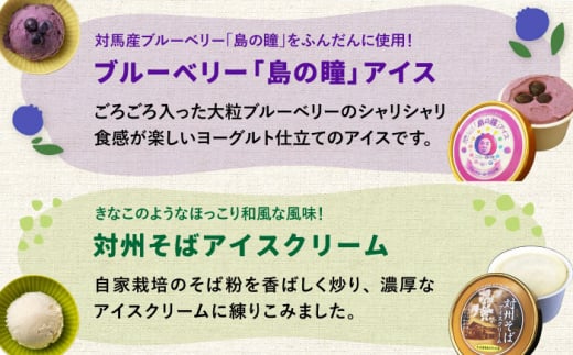 対馬 プレミアム アイス 6種セット《対馬市》【特定非営利活動法人 對馬次世代協議会（対馬コノソレ）】アイスクリーム セット 九州 長崎 スイーツ [WAM004]