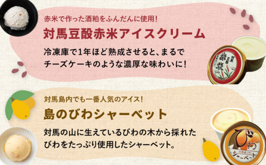 対馬 プレミアム アイス 6種セット《対馬市》【特定非営利活動法人 對馬次世代協議会（対馬コノソレ）】アイスクリーム セット 九州 長崎 スイーツ [WAM004]