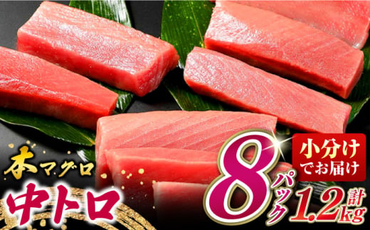 対馬産 養殖 本マグロ　中トロ 1.2kg(8パック)《対馬市》【対海】マグロ 鮪 まぐろ 本鮪 中とろ [WAH020]