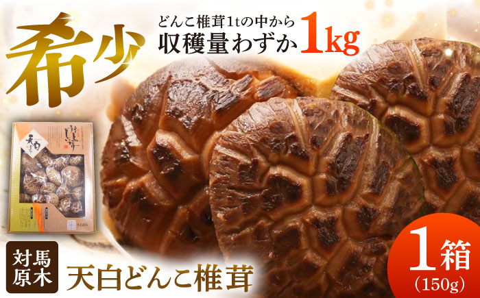 対馬 原木 天白どんこ椎茸 1箱（150g）《対馬市》【うえはら株式会社】 対馬産 肉厚 しいたけ 乾燥 きのこ [WAI119]