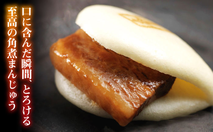 【全12回定期便】大とろ 角煮まんじゅう 10個(1箱)【 岩崎本舗 】《 対馬市 》冷凍 角煮 角煮まん 個包装 豚まん [WBC025]