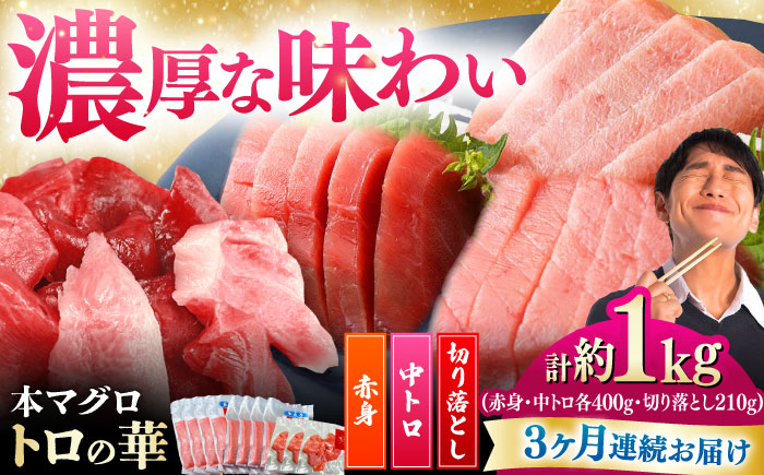 【全3回定期便】対馬産 本マグロ 約1kg（赤身400g、中トロ400g、切り落とし210g） ≪対馬市≫【桐谷商店】 トロの華 対馬 新鮮 マグロ 赤身 トロ 切り落とし 鮪 刺身 [WAQ084]