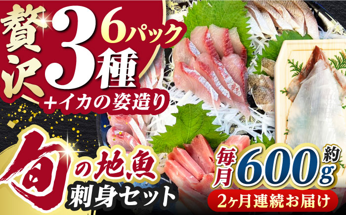 【全2回定期便】対馬 イカ 姿造り と 刺身 の セット 【真心水産】《対馬市》新鮮 海鮮 いか 冷凍 刺身 ケンサキイカ 島魚 海鮮丼 手巻き寿司 [WAK025]