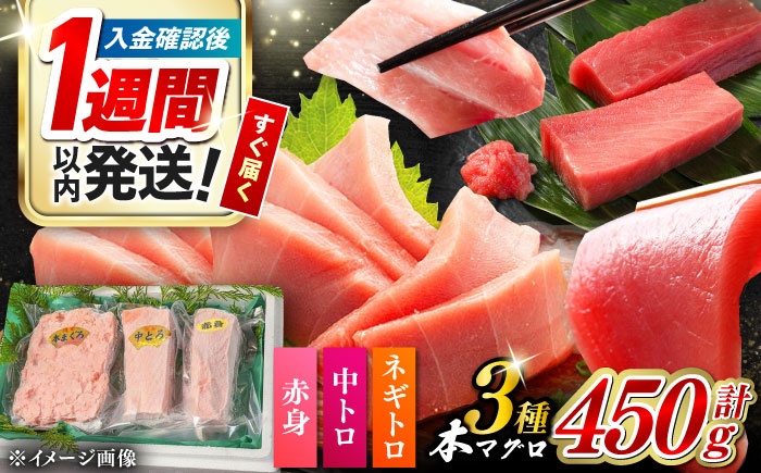 【1週間以内発送】対馬産 本マグロ 3種 計450g（赤身/中トロ/ネギトロ）《対馬市》【対海】[WAH002] マグロ まぐろ 鮪 本鮪 本マグロ 養殖 トロ 中トロ 中とろ 赤身 ねぎとろ ネギトロ たたき 刺身 冷凍 海鮮 魚 柵 お祝い 贈答 スピード発送 最速発送 最短発送