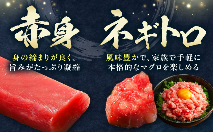 【全2回定期便】対馬産 本マグロ 4種 計550g（赤身/中トロ/大トロ/ネギトロ）《対馬市》【対海】 新鮮 マグロ 鮪 本鮪 赤身 中トロ 大トロ ねぎとろ 海鮮 冷凍 [WAH033]