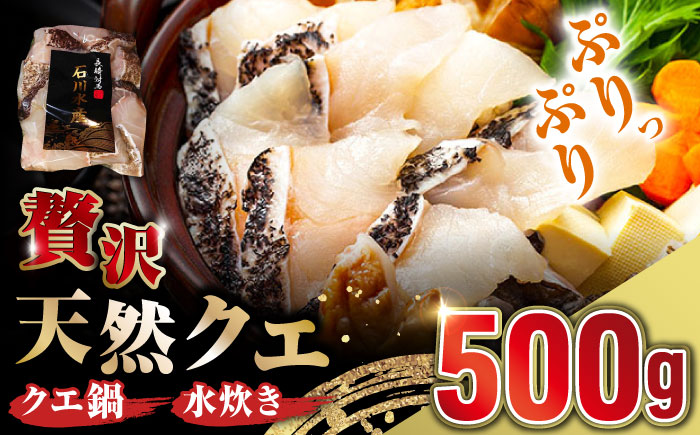 【 対馬産 】 天然 クエ 500g （切り身）《対馬市》【石川水産】 鍋 水炊き 鮮度抜群 海鮮 [WAB004]天然くえ 高級魚 アラ 魚 新鮮 下処理 クエ 希少 人気 ランキング 冷凍 対馬 長崎 九州 つしま 対馬市 海鮮 魚介