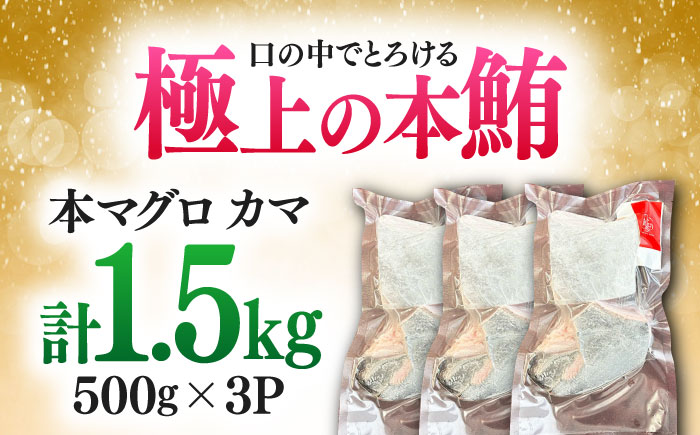 対馬産 本マグロ カマ 1.5kg ≪対馬市≫【桐谷商店】 トロの華 対馬 新鮮 マグロ かま 鮪 [WAQ099]