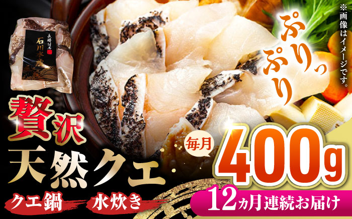 【全12回定期便】 【 対馬産 】 天然 クエ 400g （切り身）《対馬市》【石川水産】 鍋 水炊き 鮮度抜群 海鮮 [WAB032]