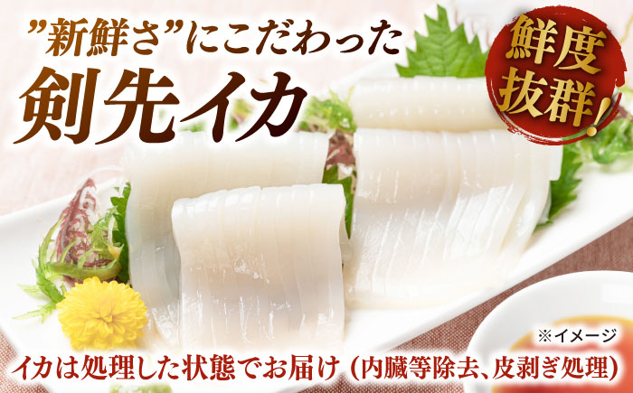 剣先イカ 750g(約6〜8本) セット【丸徳水産】《対馬市》鮮度抜群 新鮮 ケンサキイカ シロイカ 下処理済 刺身 BBQ 惣菜 天ぷら フライ 海鮮 [WAE012]