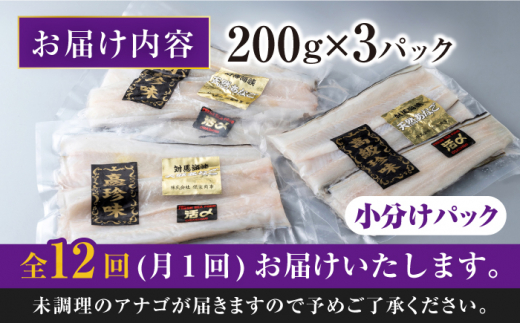 【全12回定期便】対馬産 西沖あなご 200g×3パック《対馬市》【保家商事】 あなご 穴子 アナゴ 海鮮 海産物 魚介 [WAA027]