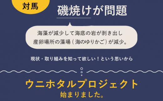 充電式ウニホタルテーブルランプ《対馬市》【一般社団法人MIT】対馬 インテリア 間接照明 手作り [WAP007]