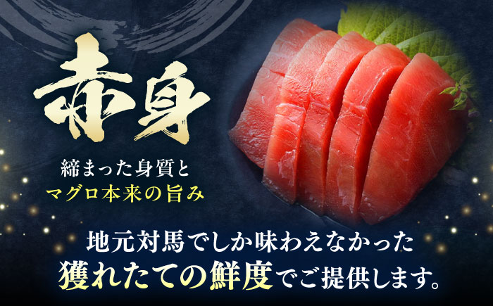 【全12回定期便】対馬産 本マグロ 赤身200g ≪対馬市≫【桐谷商店】 トロの華 対馬 新鮮 マグロ 赤身 鮪 刺身 [WAQ114]