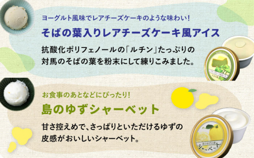 対馬 プレミアム アイス 6種セット《対馬市》【特定非営利活動法人 對馬次世代協議会（対馬コノソレ）】アイスクリーム セット 九州 長崎 スイーツ [WAM004]