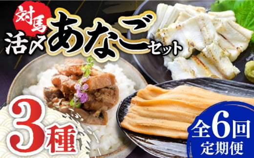 【全6回定期便】対馬 産 活〆 あなご セット《対馬市》【対馬地域商社】九州 長崎 煮あなご 佃煮 アナゴ [WAC019]冷凍 新鮮 あなご 穴子 下処理 寿司 あなご重 天ぷら おかず もう1品 おつまみ おにぎり ちらし寿司 海鮮 魚介 長崎 対馬 揚げ物 定期便 毎月届く