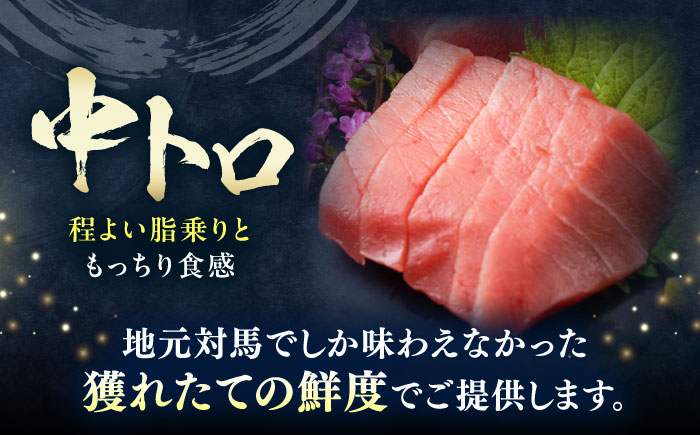 【全3回定期便】対馬産 本マグロ 中トロ200g ≪対馬市≫【桐谷商店】 トロの華 対馬 新鮮 マグロ 中トロ トロ 鮪 刺身 [WAQ120]