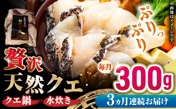【全3回定期便】 【 対馬産 】 天然 クエ 300g （身のみ）《対馬市》【石川水産】 鍋 水炊き 鮮度抜群 海鮮 [WAB033]