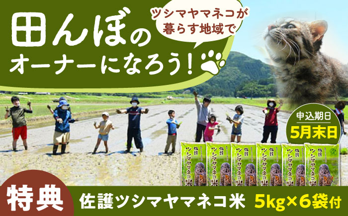対馬 佐護 ツシマヤマネコ 米 田んぼオーナー1年権【ツシマヤマネコ米30kg付き】（対馬市）【一般社団法人MIT】 米作り体験 田植え 体験 稲刈り 離島 チケット [WAP015]