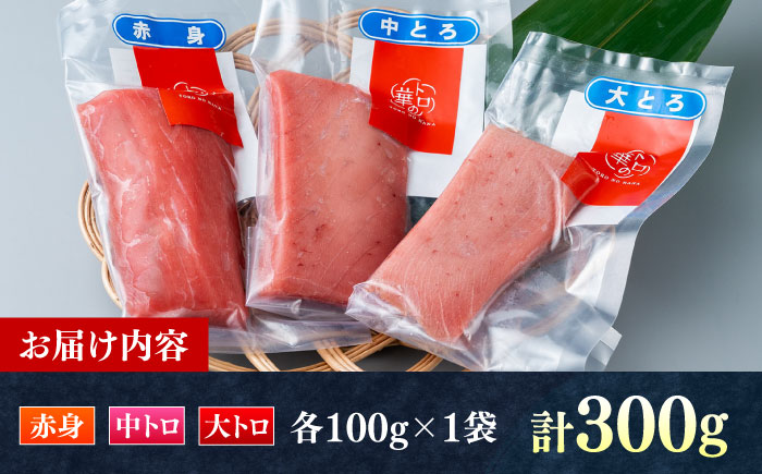 対馬産 本マグロ 詰め合わせ 《 対馬市 》【 桐谷商店 】 対馬 新鮮 マグロ 大トロ 鮪 刺身 鮮度抜群 [WAQ003]