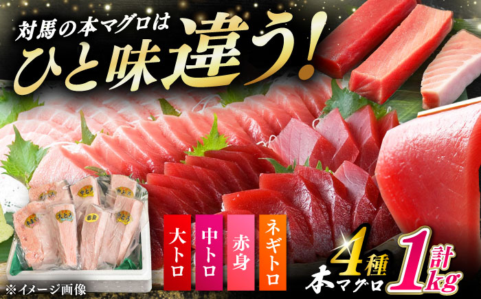 対馬産 本マグロ 4種 計1kg（赤身/中トロ/大トロ/ネギトロ）《対馬市》【対海】[WAH004] マグロ まぐろ 鮪 本鮪 本マグロ 養殖 トロ 中トロ 中とろ 大トロ 大とろ 赤身 ねぎとろ ネギトロ たたき 刺身 冷凍 海鮮 魚 柵 お祝い 贈答