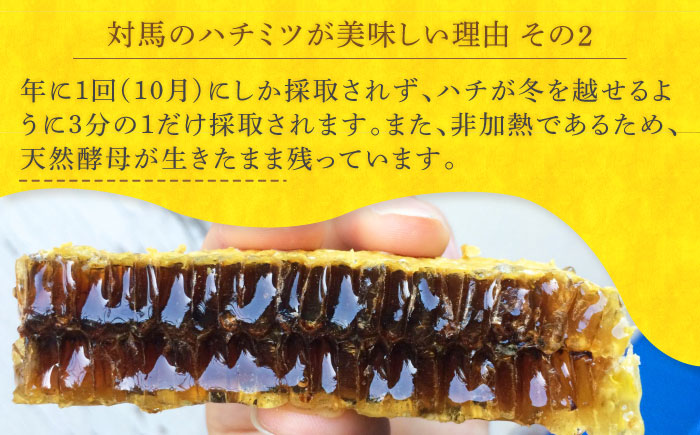 【全12回定期便】 対馬 和蜂 はちみつ 300g×1本 《対馬市》【特定非営利活動法人 對馬次世代協議会（対馬コノソレ）】 蜂蜜 ハチミツ 日本ミツバチ ニホンミツバチ [WAM048]