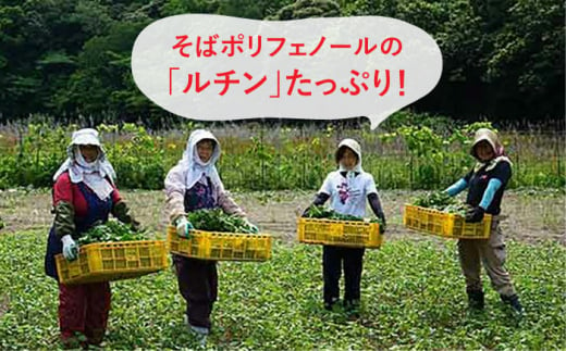 【島のめぐみ 対州そば】 青汁 30日分 / コーヒー / 焼き菓子 セット 《対馬市》【?特定非営利活動法人 對馬次世代協議会（対馬コノソレ）】そば スイーツ セット 美容 健康 [WAM009]