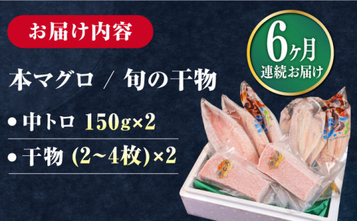 【全6回定期便】対馬産 本マグロ 中トロ 300g & 旬の干物 2種 《対馬市》【対海】 [WAH010] マグロ まぐろ 鮪 本鮪 本マグロ 養殖 トロ 中トロ 中とろ 刺身 干物 旬 魚 地魚 アジ カマス 冷凍 海鮮 柵 お祝い 贈答 定期便 毎月届く